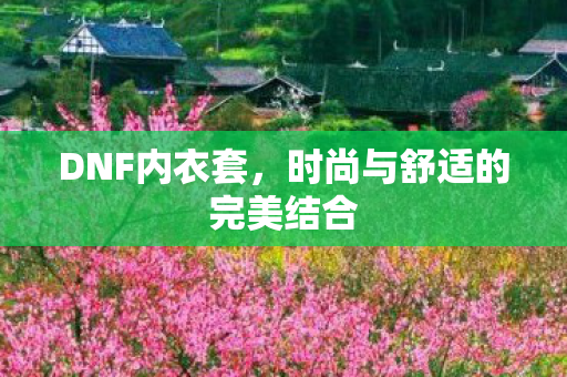 DNF内衣套,时尚与舒适的完美结合 DNF内衣套,时尚与舒适的完美结合