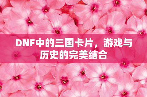 DNF中的三国卡片,游戏与历史的完美结合 DNF中的三国卡片,游戏与历史的完美结合