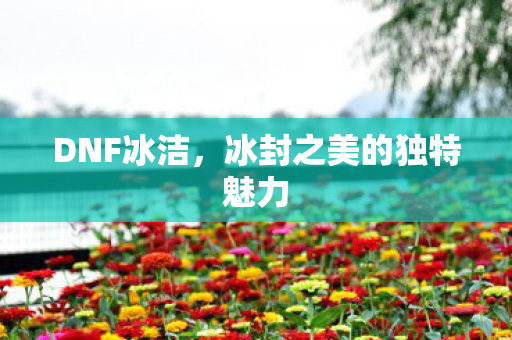 DNF冰洁,冰封之美的独特魅力 DNF冰洁,冰封之美的独特魅力