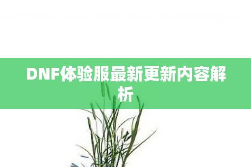 DNF体验服最新更新内容解析