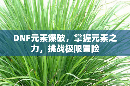 DNF元素爆破，掌握元素之力，挑战极限冒险