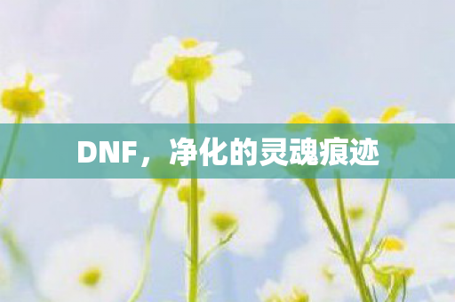 DNF,净化的灵魂痕迹 DNF,净化的灵魂痕迹