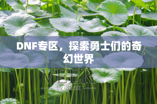 DNF专区，探索勇士们的奇幻世界