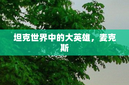 坦克世界中的大英雄，麦克斯
