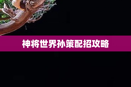神将世界孙策配招攻略