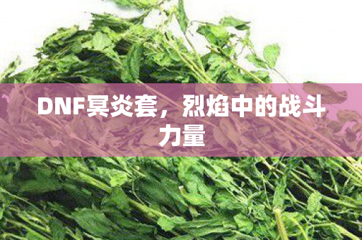 DNF冥炎套,烈焰中的战斗力量 DNF冥炎套,烈焰中的战斗力量