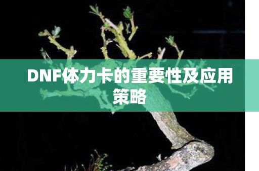 DNF体力卡的重要性及应用策略