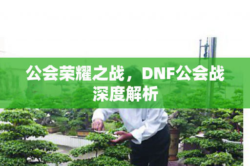 公会荣耀之战，DNF公会战深度解析