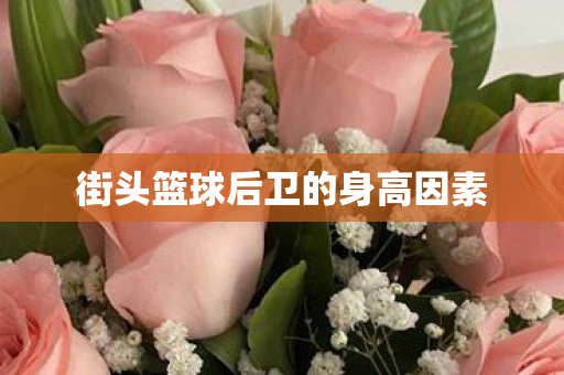 街头篮球后卫的身高因素