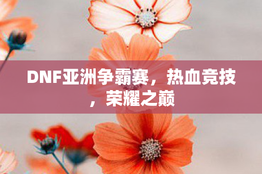 DNF亚洲争霸赛，热血竞技，荣耀之巅