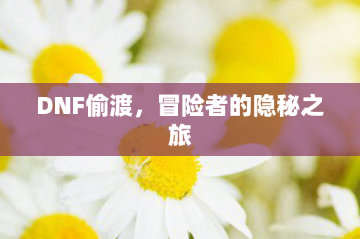 DNF偷渡，冒险者的隐秘之旅
