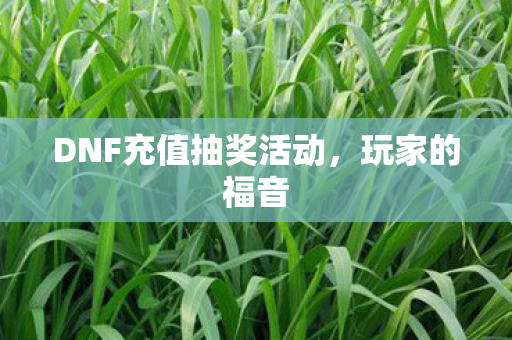 DNF充值抽奖活动,玩家的福音 DNF充值抽奖活动,玩家的福音