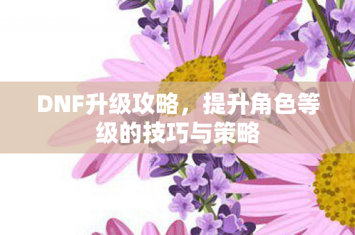 DNF升级攻略，提升角色等级的技巧与策略