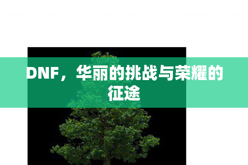 DNF,华丽的挑战与荣耀的征途 DNF,华丽的挑战与荣耀的征途