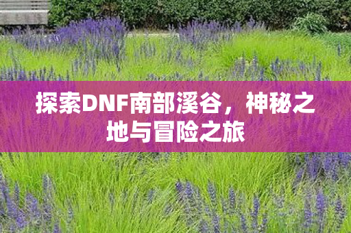 探索DNF南部溪谷,神秘之地与冒险之旅 探索DNF南部溪谷,神秘之地与冒险之旅