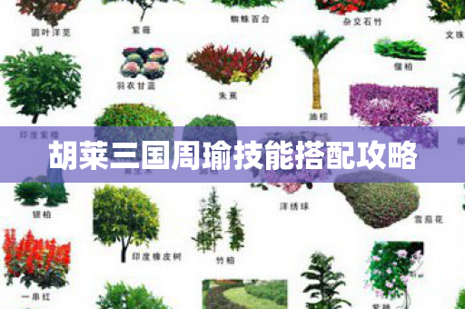 胡莱三国周瑜技能搭配攻略