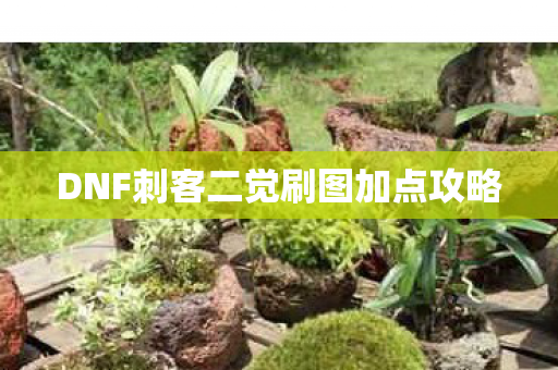 DNF刺客二觉刷图加点攻略 DNF刺客二觉刷图加点攻略