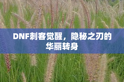 DNF刺客觉醒,隐秘之刃的华丽转身 DNF刺客觉醒,隐秘之刃的华丽转身