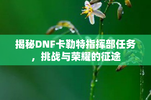 揭秘DNF卡勒特指挥部任务，挑战与荣耀的征途