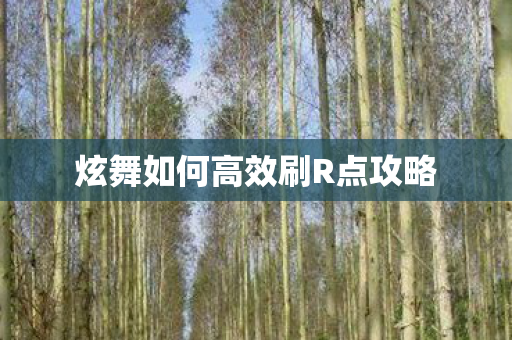 炫舞如何高效刷R点攻略