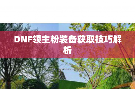 DNF领主粉装备获取技巧解析 DNF领主粉装备获取技巧解析