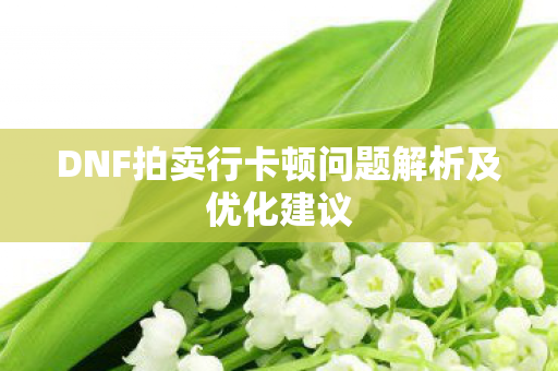 DNF拍卖行卡顿问题解析及优化建议