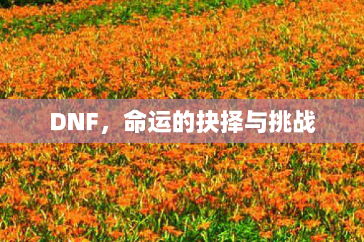 DNF,命运的抉择与挑战 DNF,命运的抉择与挑战
