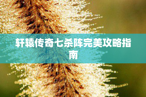 轩辕传奇七杀阵完美攻略指南