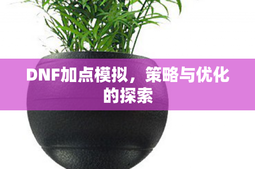 DNF加点模拟，策略与优化的探索