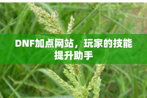 DNF加点网站，玩家的技能提升助手