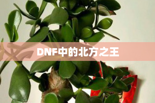 DNF中的北方之王