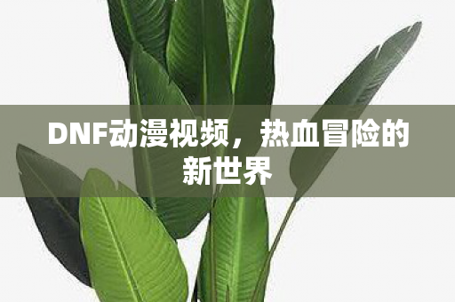 DNF动漫视频，热血冒险的新世界