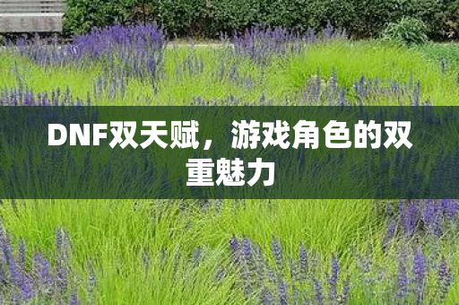 DNF双天赋，游戏角色的双重魅力