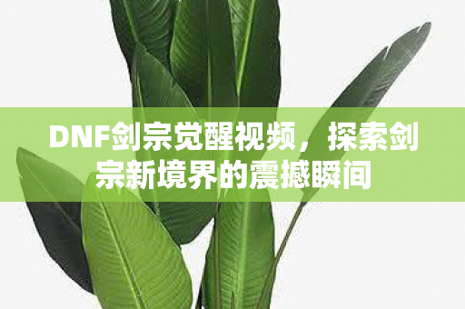 DNF剑宗觉醒视频，探索剑宗新境界的震撼瞬间