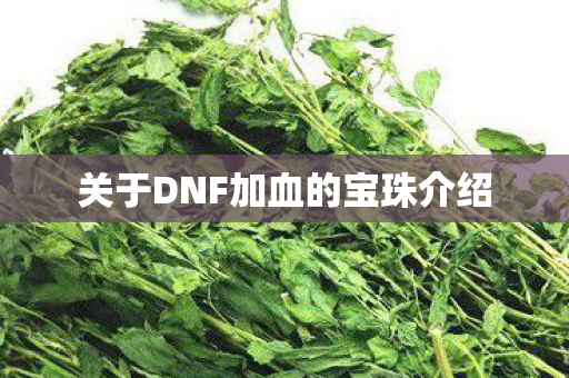 关于DNF加血的宝珠介绍 关于DNF加血的宝珠介绍
