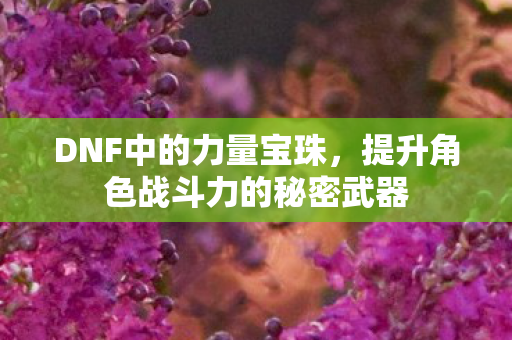 DNF中的力量宝珠,提升角色战斗力的秘密武器 DNF中的力量宝珠,提升角色战斗力的秘密武器