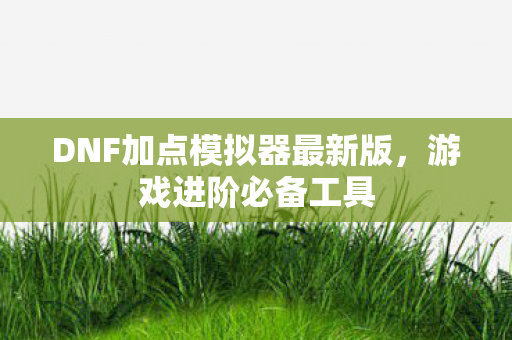 DNF加点模拟器最新版，游戏进阶必备工具