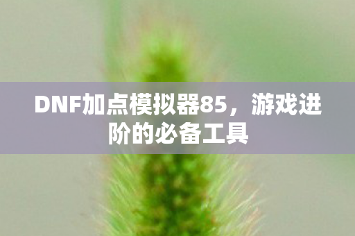 DNF加点模拟器85,游戏进阶的必备工具 DNF加点模拟器85,游戏进阶的必备工具