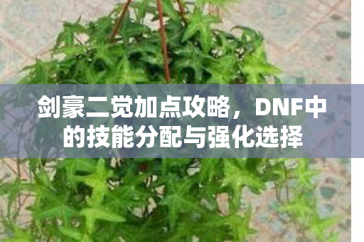 剑豪二觉加点攻略，DNF中的技能分配与强化选择