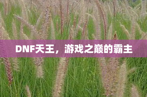 DNF天王，游戏之巅的霸主