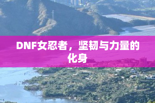 DNF女忍者,坚韧与力量的化身 DNF女忍者,坚韧与力量的化身