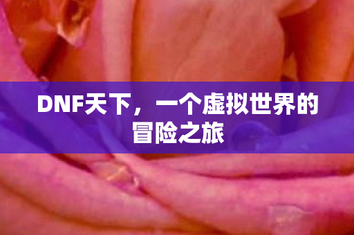 DNF天下，一个虚拟世界的冒险之旅