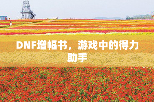 DNF增幅书，游戏中的得力助手
