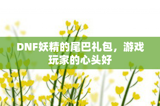 DNF妖精的尾巴礼包，游戏玩家的心头好