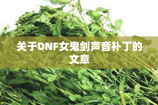 关于DNF女鬼剑声音补丁的文章
