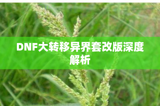 DNF大转移异界套改版深度解析
