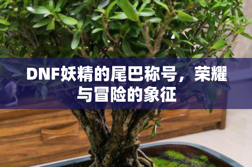 DNF妖精的尾巴称号，荣耀与冒险的象征