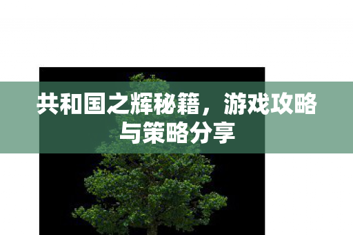 共和国之辉秘籍，游戏攻略与策略分享