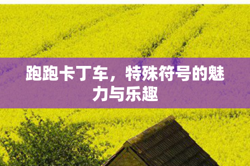 跑跑卡丁车，特殊符号的魅力与乐趣