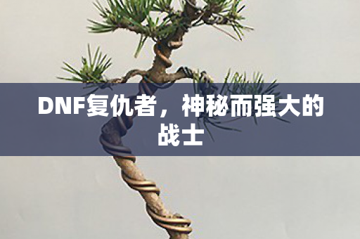 DNF复仇者，神秘而强大的战士